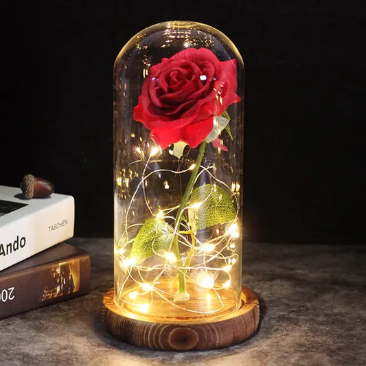 Beauty rose  Lamp